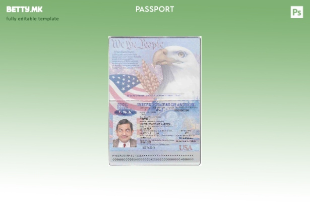Шаблон за американски пасош во модерен стил