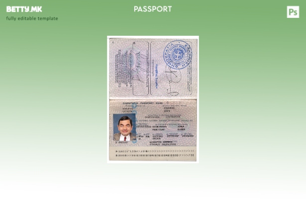 Шаблон за верзија на грчки пасош во модерен стил 1