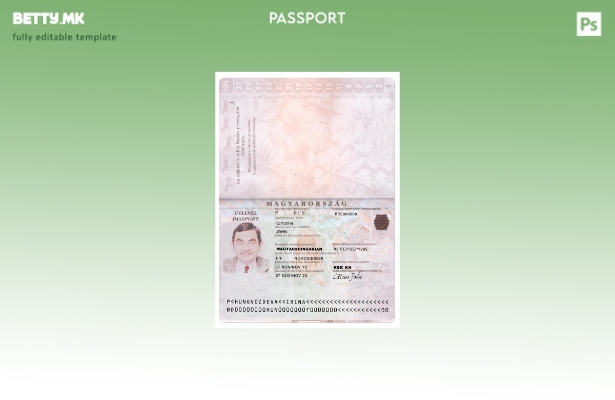 Шаблон за верзија на пасош во модерен стил