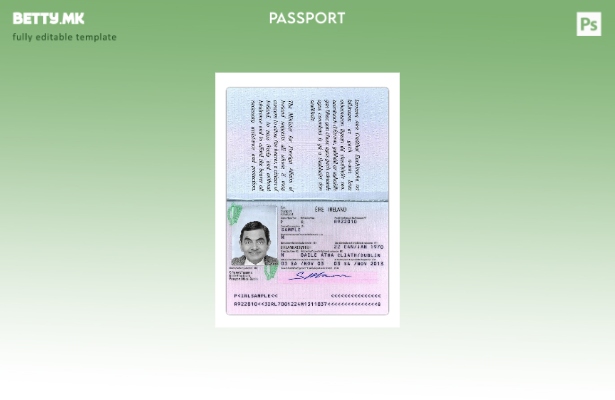 Шаблон за верзија на пасош на Ирска во модерен стил