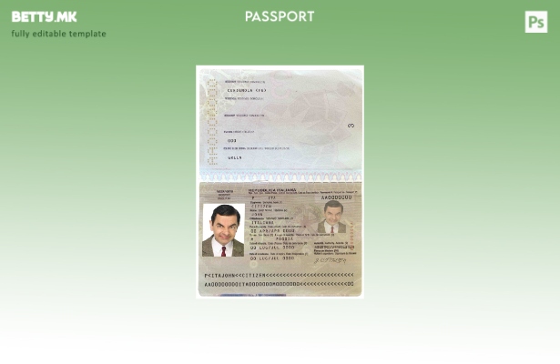 Шаблон за италијански пасош во модерен стил