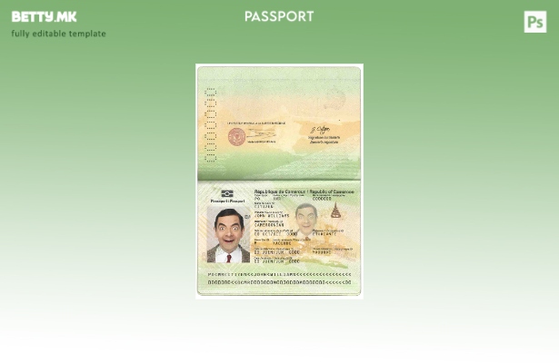 Шаблон за камерунски пасош во модерен стил