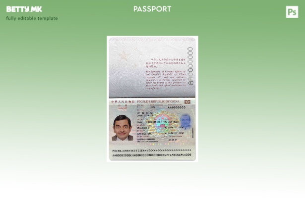 Шаблон за кинески пасош (присутен) во модерен стил