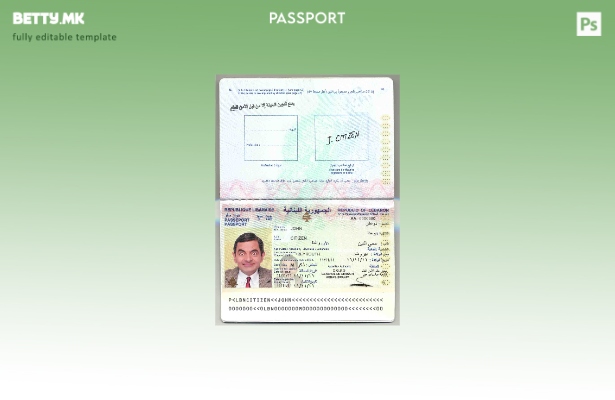 Шаблон за либански пасош во модерен стил
