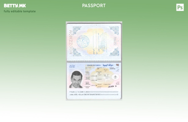 Шаблон за либиски пасош во модерен стил