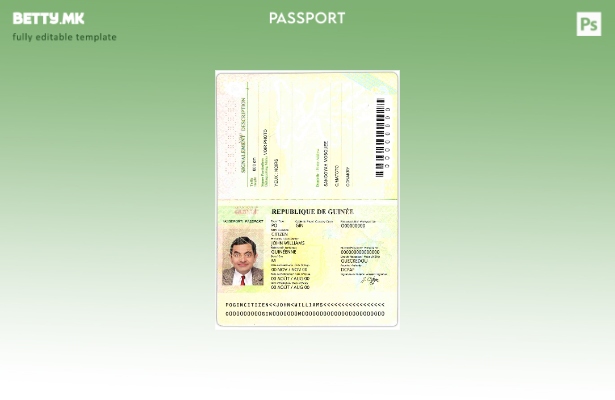 Шаблон за модерен стил Гвинеја пасош ( ).