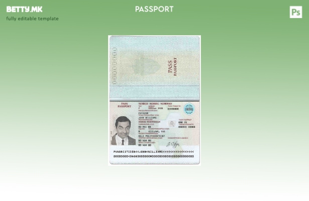 Шаблон за норвешки пасош во модерен стил