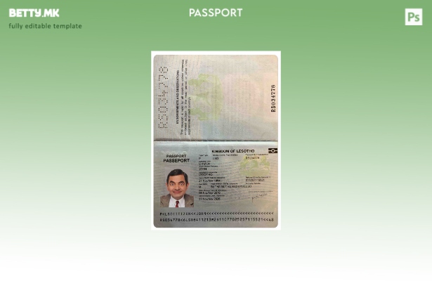 Шаблон за пасош во модерен стил на Лесото
