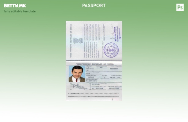 Шаблон за пасош за Индија во модерен стил