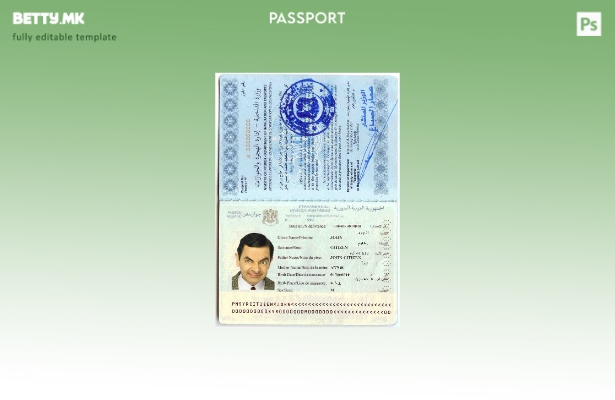 Шаблон за пасош за Сирија во модерен стил