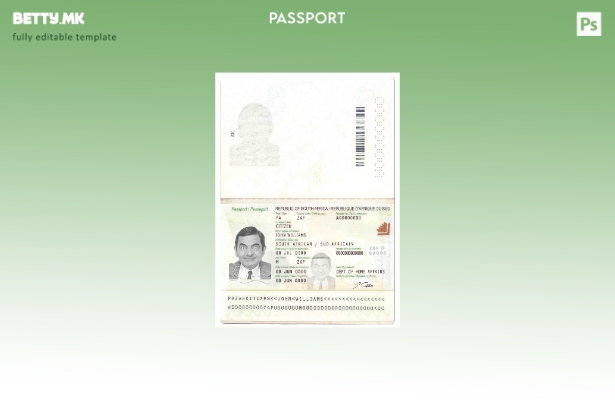 Шаблон за пасош на Јужна Африка ( – сегашен) во модерен стил