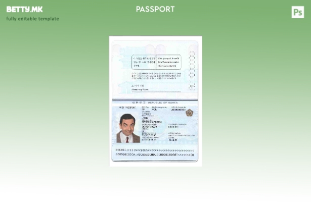 Шаблон за пасош на Јужна Кореја во модерен стил