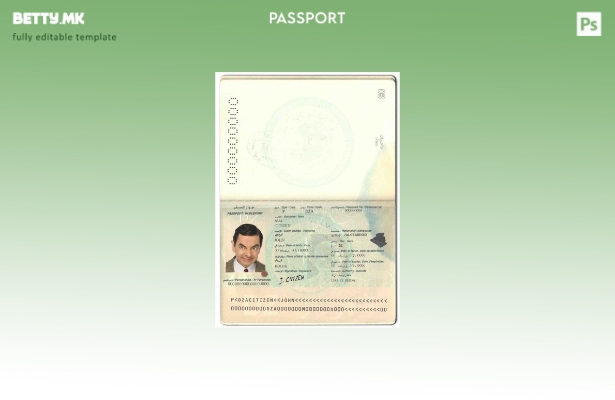 Шаблон за пасош на Алжир во модерен стил