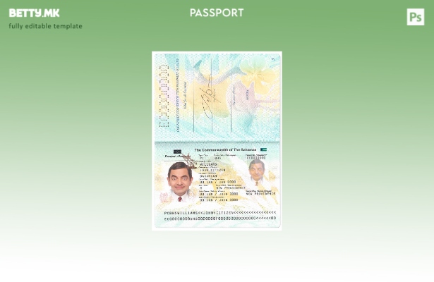 Шаблон за пасош на Бахамите во модерен стил