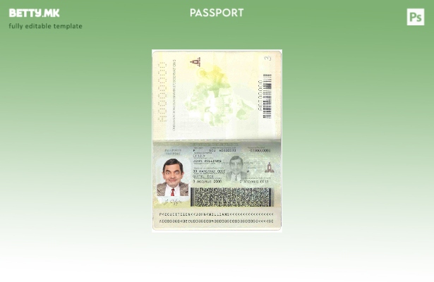 Шаблон за пасош на Еквадор во модерен стил