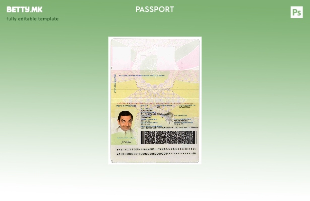 Шаблон за пасош на Етиопија во модерен стил