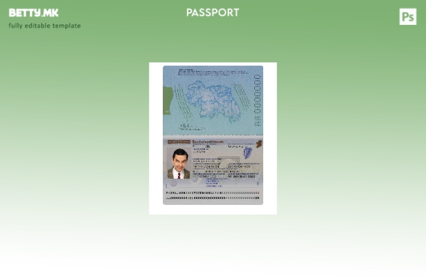 Шаблон за пасош на Ирска во модерен стил