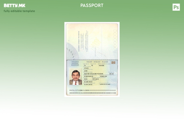 Шаблон за пасош на Исланд во модерен стил