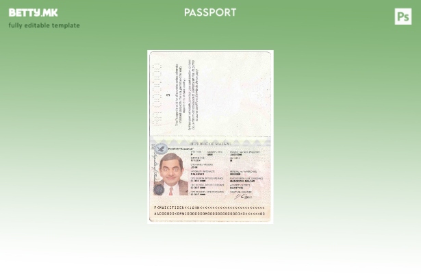 Шаблон за пасош на Малави во модерен стил