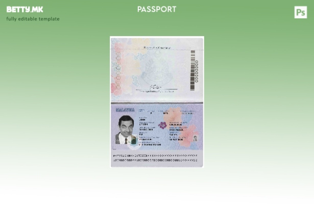 Шаблон за пасош на Малезија во модерен стил ( – сегашен).