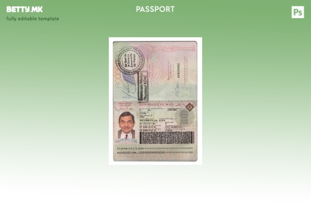 Шаблон за пасош на Мали во модерен стил
