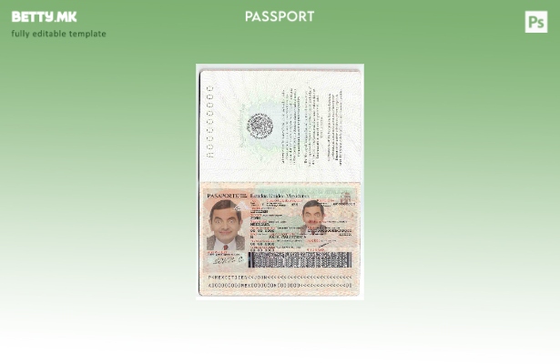 Шаблон за пасош на Мексико во модерен стил