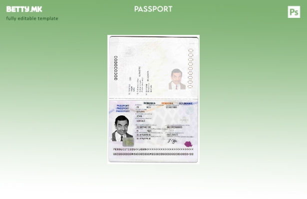 Шаблон за пасош на Романија во модерен стил