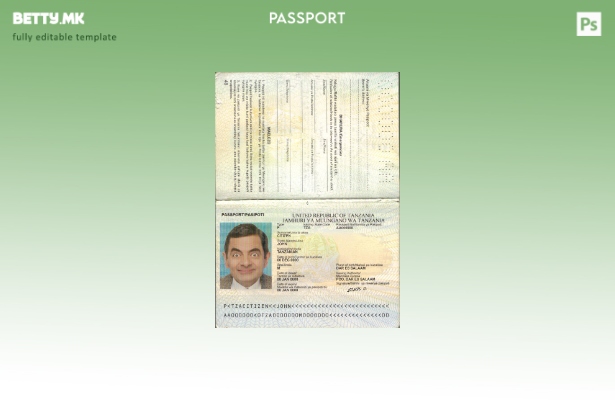 Шаблон за пасош на Танзанија во модерен стил