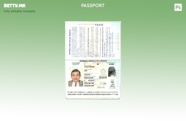 Шаблон за пасош на Уругвај во модерен стил
