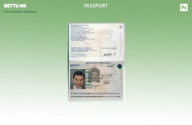 Шаблон за пасош на Франција во модерен стил