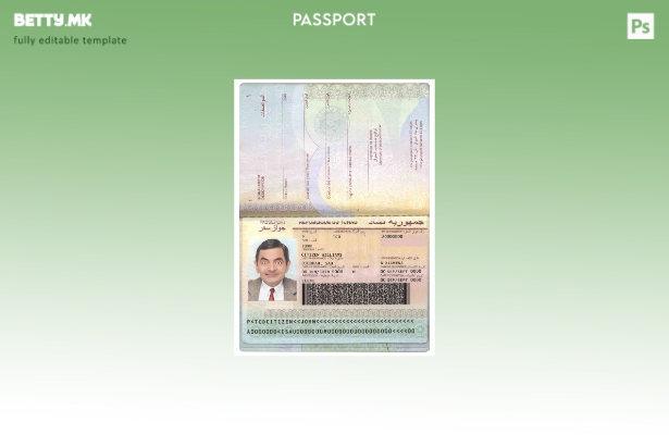 Шаблон за пасош на Чад во модерен стил