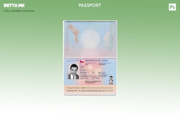 Шаблон за пасош на Чиле во модерен стил