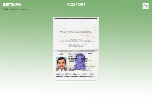 Шаблон за пасош на Шри Ланка во модерен стил