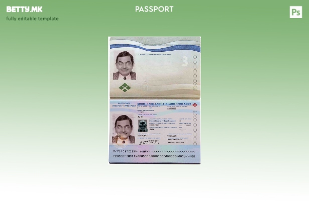 Шаблон за фински пасош во модерен стил 1