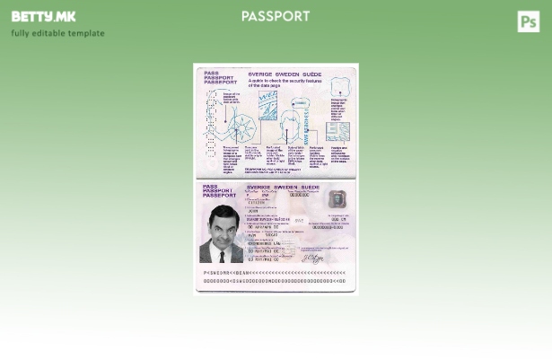 Шаблон за шведски пасош во модерен стил