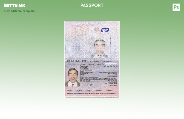 Шаблон за шпански пасош ( – сегашен) модерен стил
