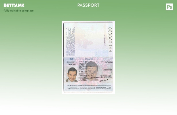 Шаблон за шпански пасош во модерен стил (до ).