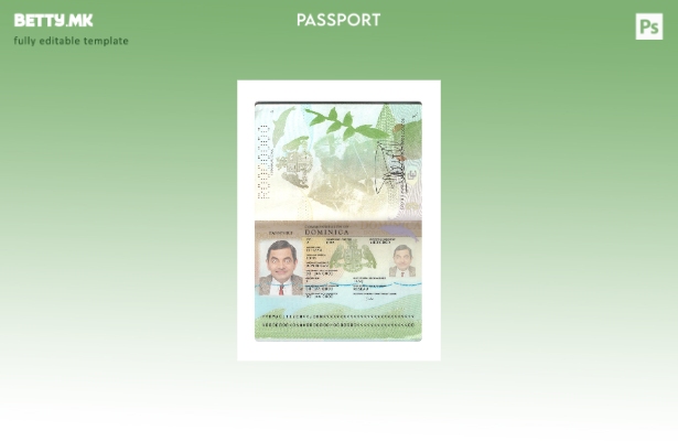 модерен стил Доминика пасош нов сегашен шаблон