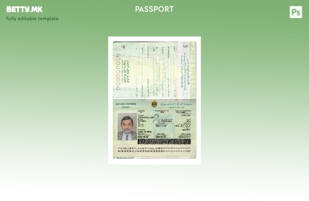 модерен стил Ирак нов пасош сегашен шаблон