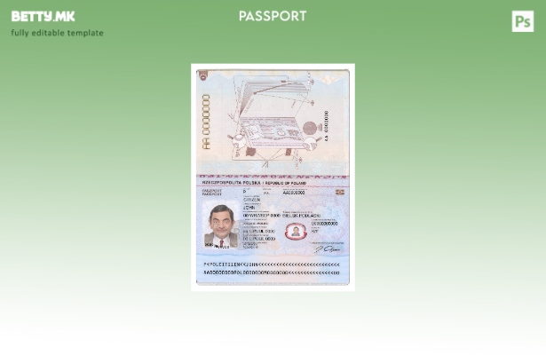 модерен стил Полска пасош – сегашен шаблон