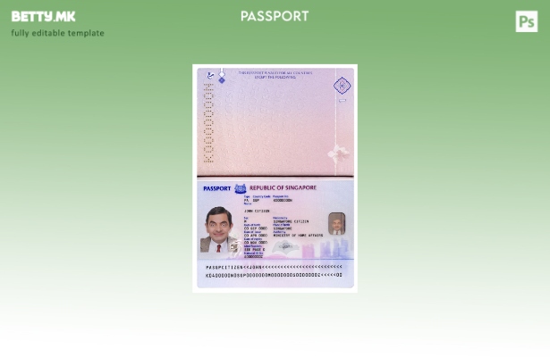 модерен стил Сингапур нов пасош (+) шаблон