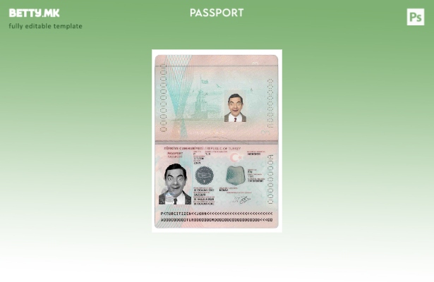 модерен стил Турција Нов шаблон за пасош