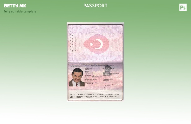 модерен стил стар шаблон за пасош на Турција