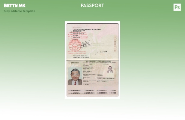 modern style Madagascar passport template