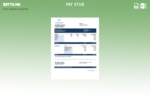 Модерен стил Осигурителна компанија шаблон за извод за заработка целосно може да
