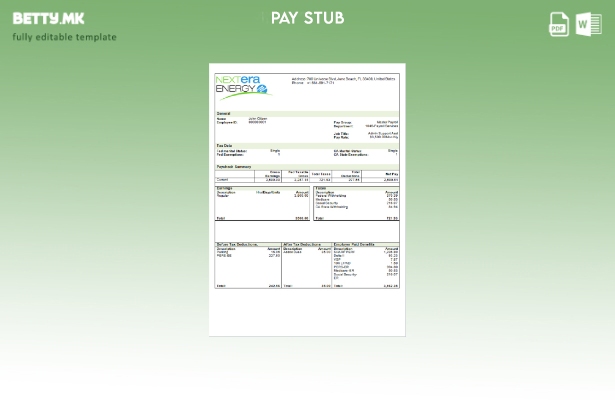 Модерен стил САД NextEra Energy шаблон за плаќања за електрична компанија