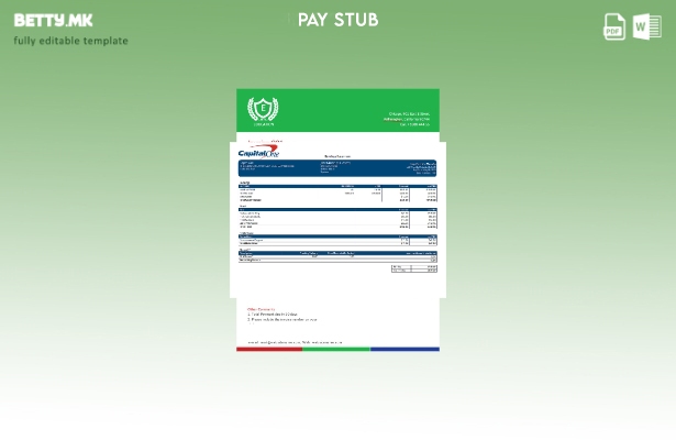 Модерен стил Шаблон за банкарска компанија USA Capital One