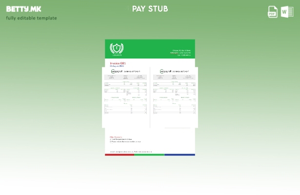 Модерен стил Шаблон за изјава за заработка на Zenpayroll