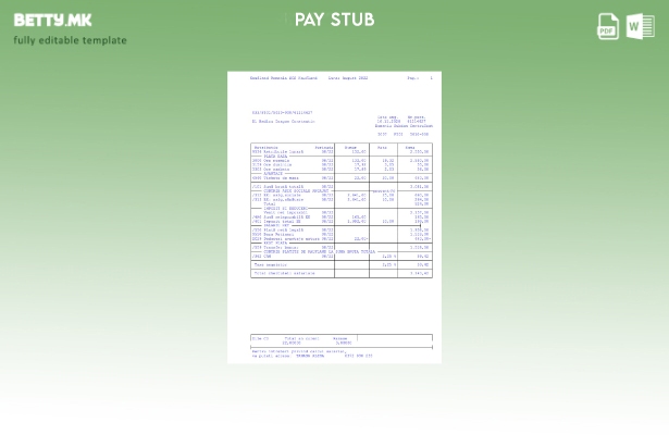 Модерен стил Шаблон за исплати на Кауфланд Романија SCS