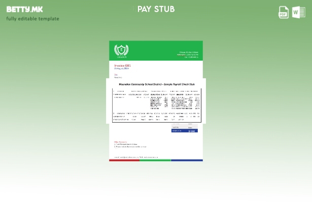 Модерен стил Шаблон за никулци за проверка на платен список на училишниот округ